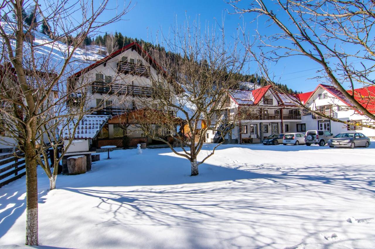 Vila Mesteacanul Moeciu De Sus Bagian luar foto